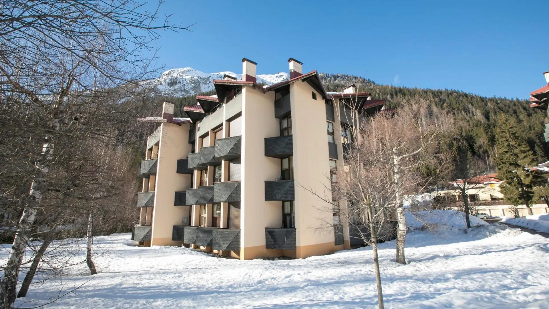 Résidence Grand Roc - Campanules 311 - Happy Rentals Chamonix